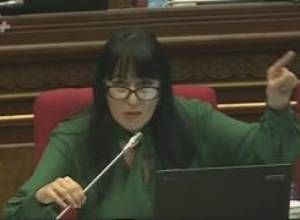 «ՓՄՁ-ների նկատմամբ բացահայտ տեռոր է, Մոնումենտի դղյակներում տեսեք կոռուպցիա»