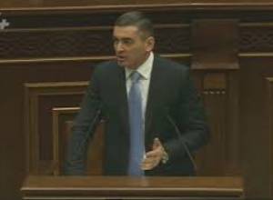«Մանդարինի ներկրումը ԵՏՄ օրենսգրքի հետ  կապված չէ, այլ օրենսդրական դրույթ է»