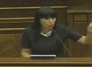 «Նրանց բյուջեն չի հետաքրքրում, քանի որ ԱԺ մեծամասնությունը կսղղացնի նախագիծը»
