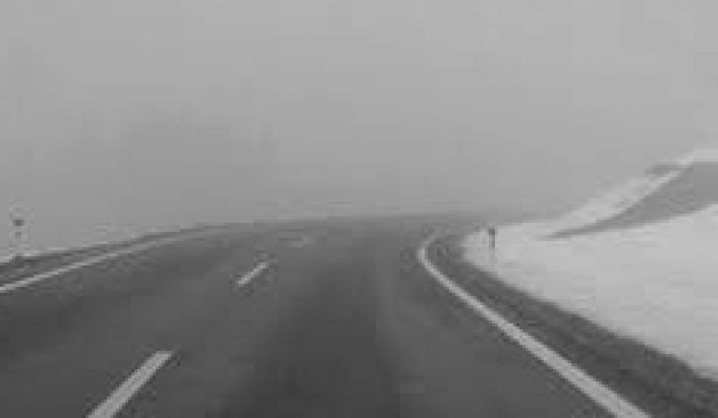 hratap151297059423651arm-6419