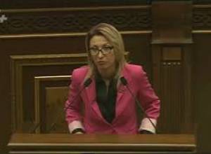 Սահմանադրական Օրենքը չի անցել. Մանե Թանդիլյան