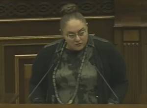 Do you love your country? So, do not scream, one does not love in such way! - Shushan Petrosyan