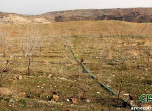 Նոր աղբավայր Նուբարաշենում՝ անտառի փոխարեն. ՀԲՃ