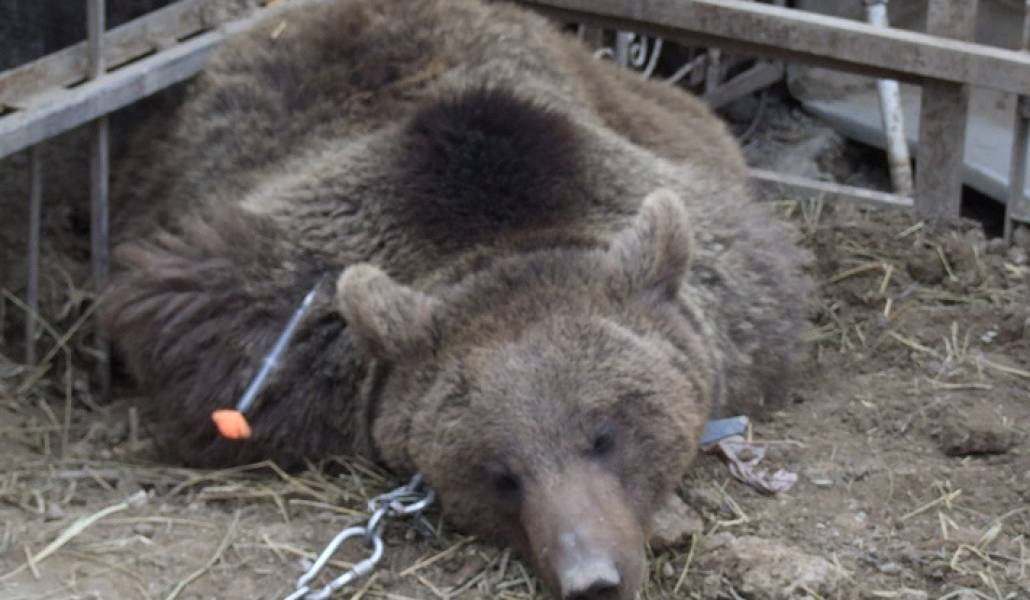 6479189eca8158ff44b95a124dbbaa75