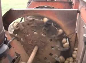 Sowing begins, but fertilizer is late