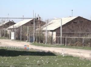 Ձերբակալված Արսենյանն ու Սաղաթելյանն ազատ են արձակվել