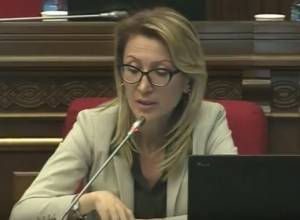 At what stage is the visa liberalization? - Mane Tandilyan