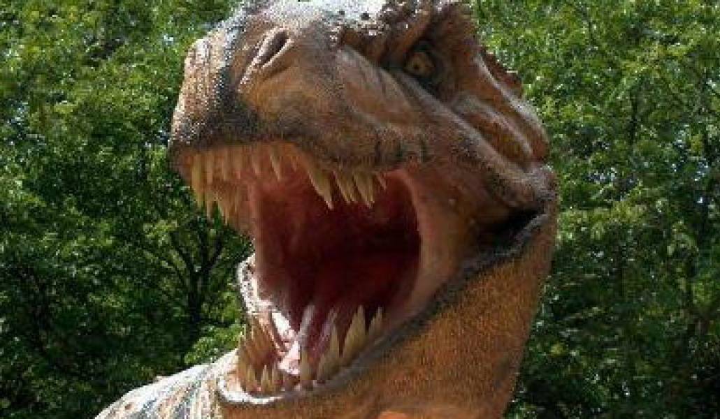 de87394dd2eaebdcd6778df9eb0fd43b