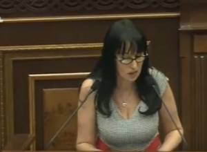 Զոհրաբյանը ներկայացրեց ՀՀԿ բոլոր Կառավարությունների «խալաստոյ» խոստումները