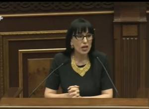 Naira Zohrabyan: I urge Gagik Tsarukyan not to engage in charity since July 1