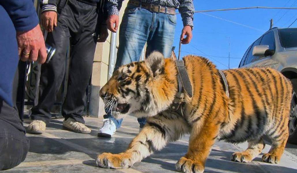 35628298_1105713012920897_125hh8725970949439488_o