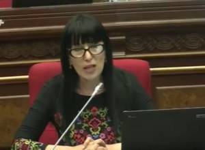 Naira Zohrabyan: It is very surprising that for many years this animal has taken hostage all Etchmiadzin