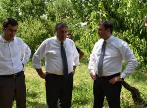Կարկուտը վնասել է Արմավիրի մարզի 25 համայնքների` շուրջ 1100 հա հողատարածք