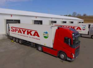 Search at "Spayka"