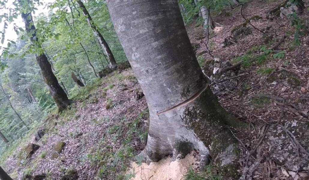 21c04df90fa16db4ff95cc53e5248cb3