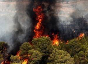 RA Ministry of Emergency Situations: There are no Armenians among the victims of the fires in Greece
