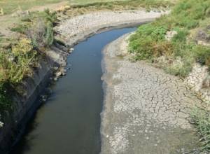 Ձկնաբուծարանները՝ ոռոգման սակավաջրության պատճառ