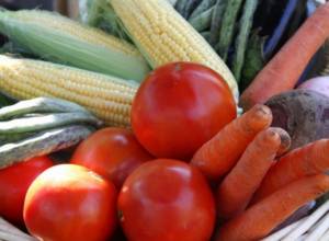 Объёмы экспорта возросли на 68%