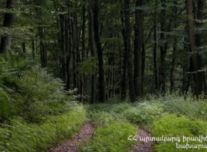 Citizen lost in forest in Lori province