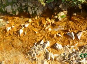 Ամուլսարում հոսում է ուժեղ թթվային ջրերով գետակ․ ՀԲՃ