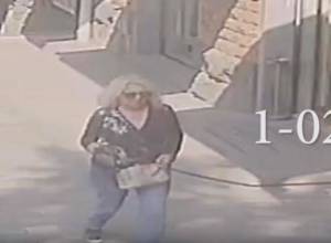 Camera fixes woman with victim's bag