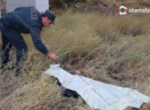 Armenia ex-defense minister Seyran Ohanyan's sister-in-law dead body found under bridge