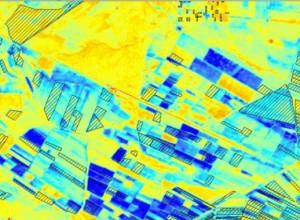 Карта «Теневых садов»