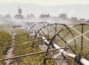 Միջազգային ներդրողներին ուղղված կարգախոս՝ «Քայլ արա՛, ընտրի՛ր Հայաստանը»