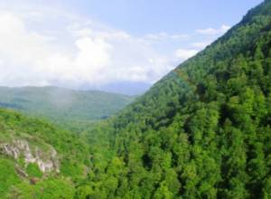 Դիլիջանի 2 բնակիչներ միջազգային հյուրընկալության դպրոցում սովորելու կրթաթոշակ կստանան