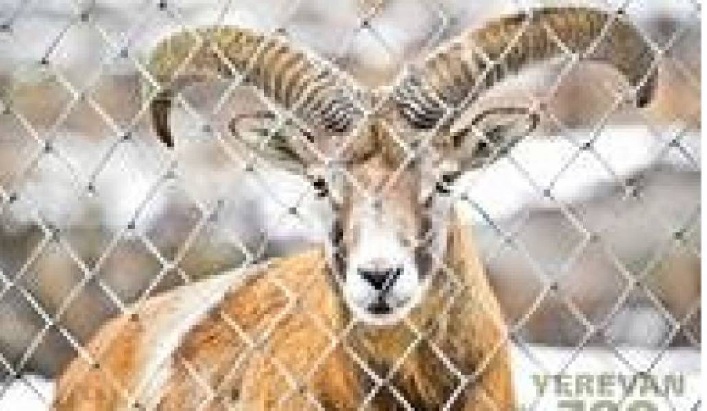 fa44a6d91fb7ff72278f1668a20ef60f