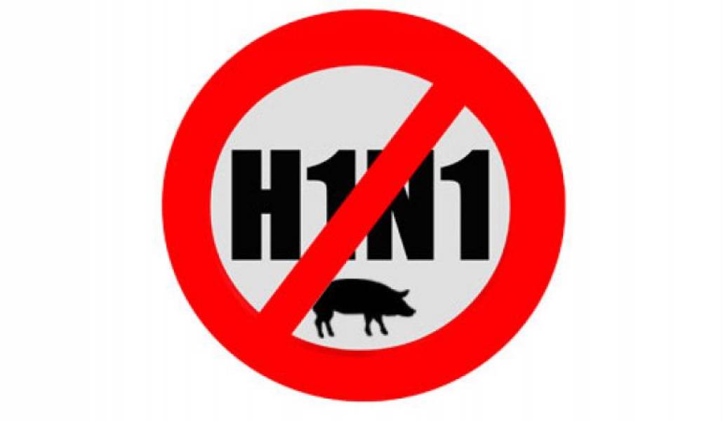 a5ba230d08e3185c03096b4d325305dd