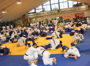 Armenian judoists - participants of Olympic "Golden Way"