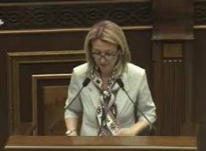Ծրագիրը  հեղափոխական չէ. Մանե Թանդիլյանի ելույթը