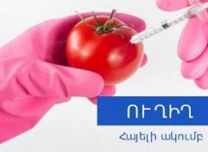Վտանգներն ու վնասները սննդի մեջ. ուղիղ միացում «Հայելի» ակումբից