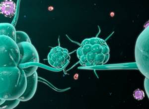 Обнаружили новое средство борьбы против рака с применением невообразимо малых частиц