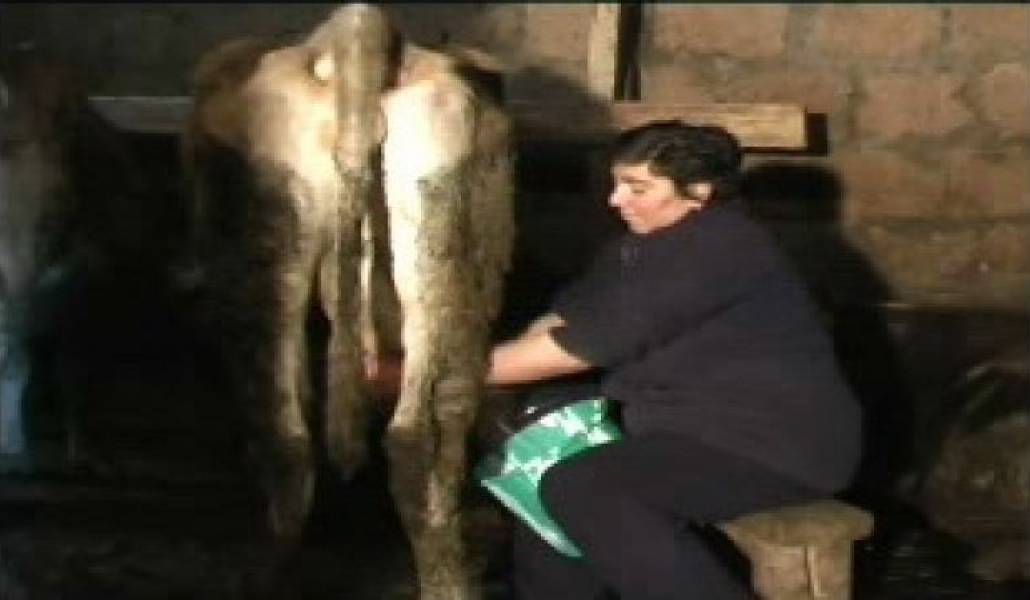 d2265de07e1c78dd1f31df310635624e