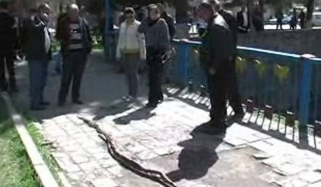 485ed01a3637bdbb3c398d4d1bdfe1f6