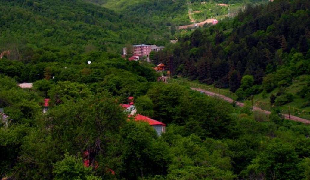 8f1c7737de976d8c427aa87e4f0f05fe