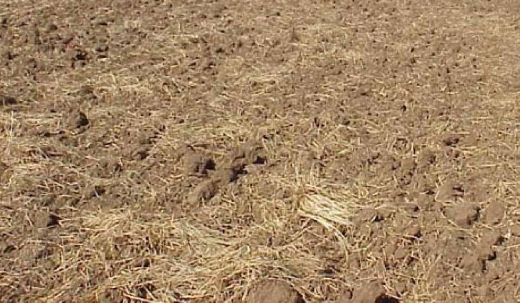 e7fe00887cb0ca83db980da402d1b28c