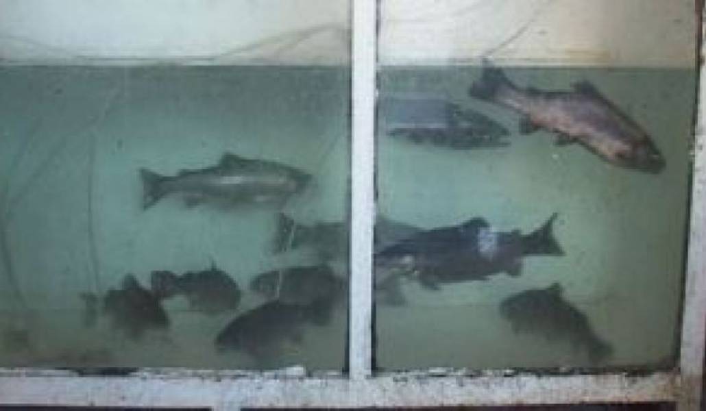 c3e47dae80538506c9ba7c1db69decb7