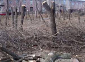 Отопление – за счет деревьев