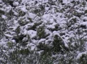 Снегопад продолжится