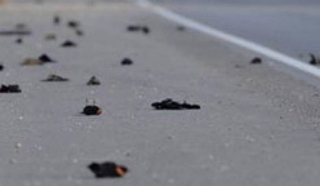 9a205caa7641317b6f9049b1315a24fe