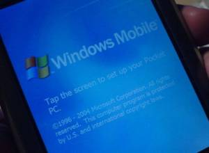 Украла и укусила