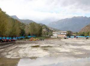 Вступающих в брак – больше