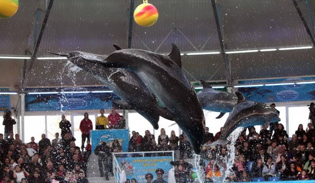 453cab0bdf8604954eb89348a65b8ca1