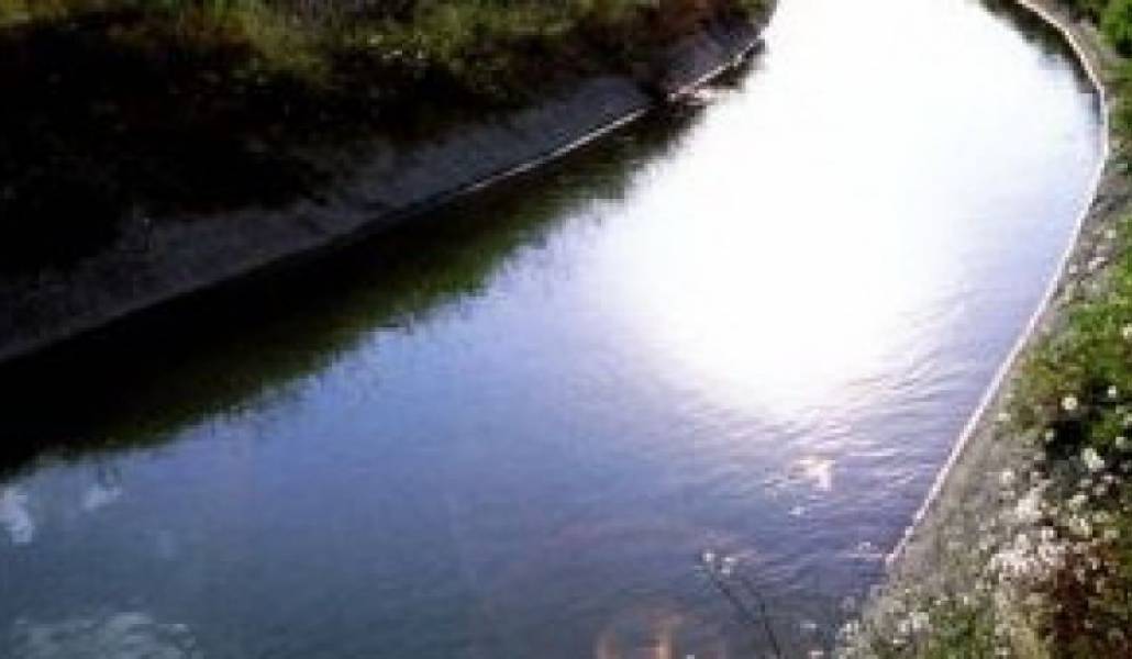 586c695bf53ea8b8914ffa8036e3fec6