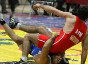 Одна бронзовая медаль