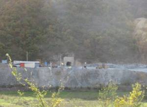 Какова цель визита?