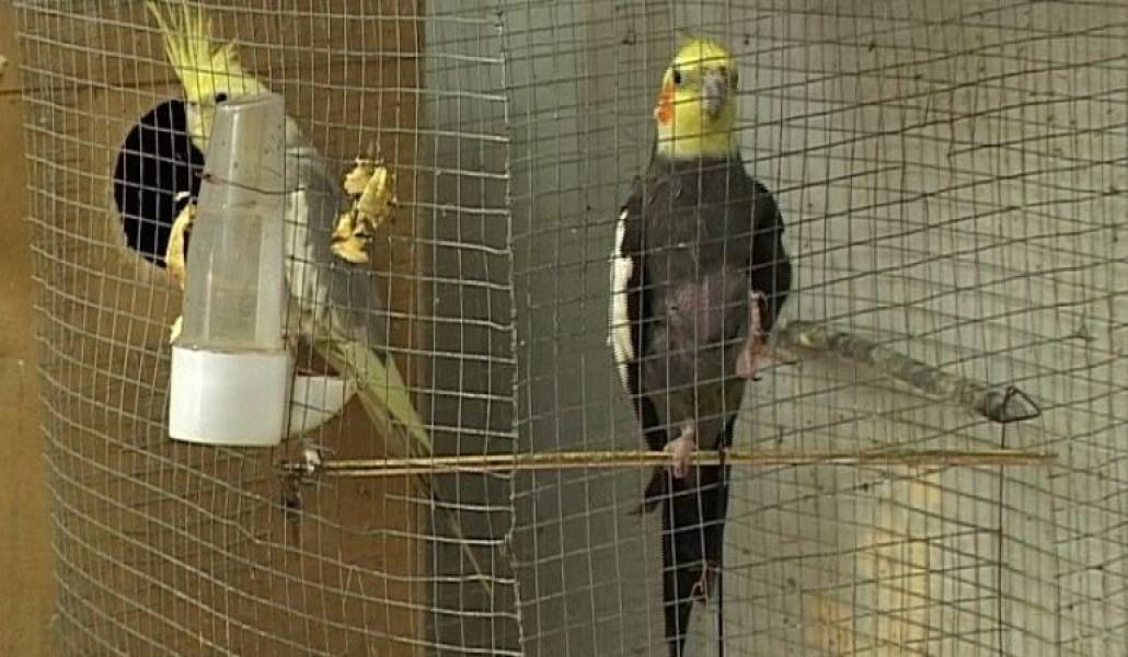 65e8b9e7180577d7879d493554ee0dbf